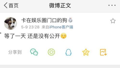 吃瓜爆料音乐叫什么来着,流行乐坛的神秘旋律