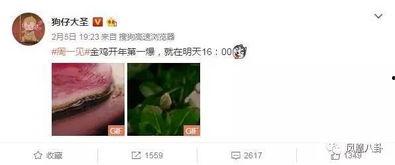 5吃瓜群众最新爆料视频,揭秘事件背后惊人真相！