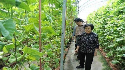 qq瓜瓜大爆料合集吃瓜,娱乐圈幕后真相大揭秘