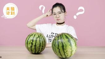 会长吃瓜爆料准吗,揭秘娱乐圈真相，准确度令人惊叹