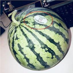 网红爆料吃瓜头像,揭秘吃瓜头像背后的秘密