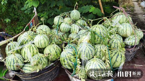 定州吃瓜爆料是真的吗,真相揭秘，是真是假？