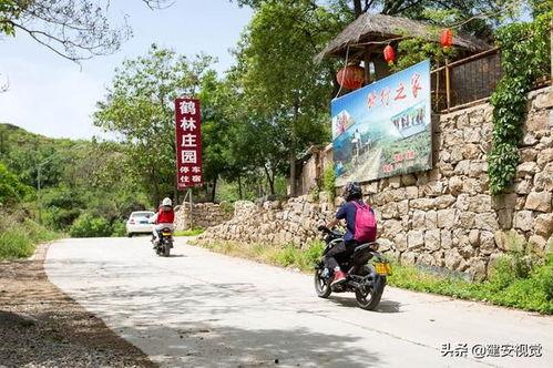 林州吃瓜大爆料视频下载,视频内容深度解析