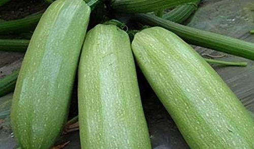 tai9.吃瓜爆料,吃瓜爆料，带你直击明星幕后故事